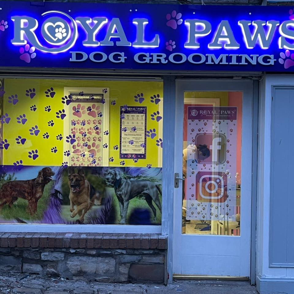 Royal Paws Dog Grooming Navan