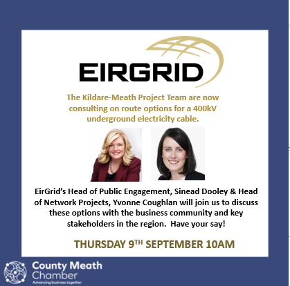 Eirgrid ¦ Kildare-Meath Update