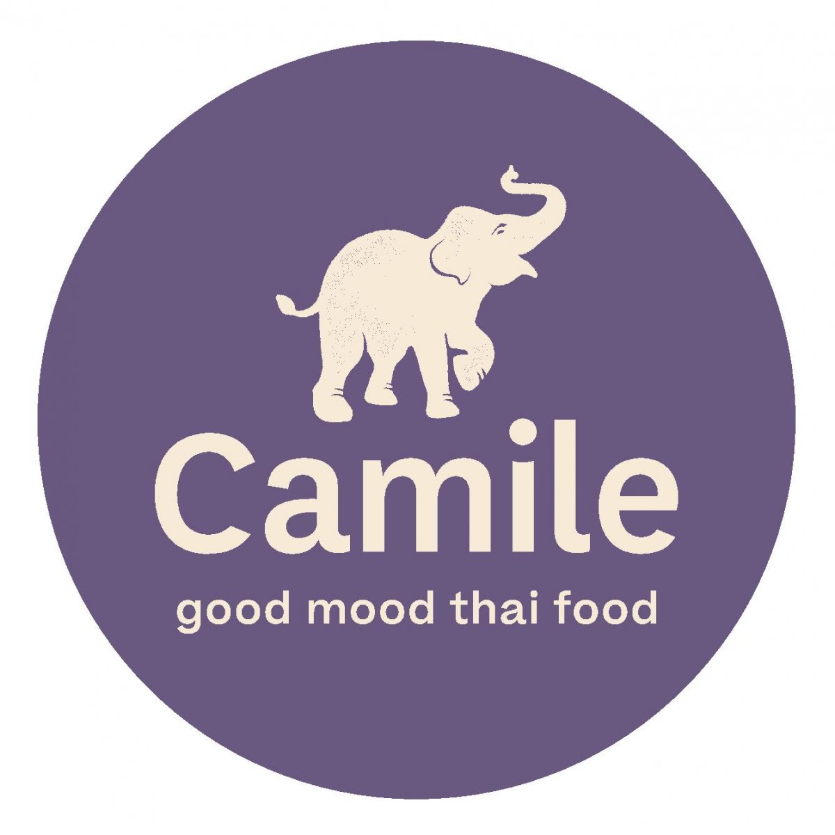 Camile Thai Restaurant Navan