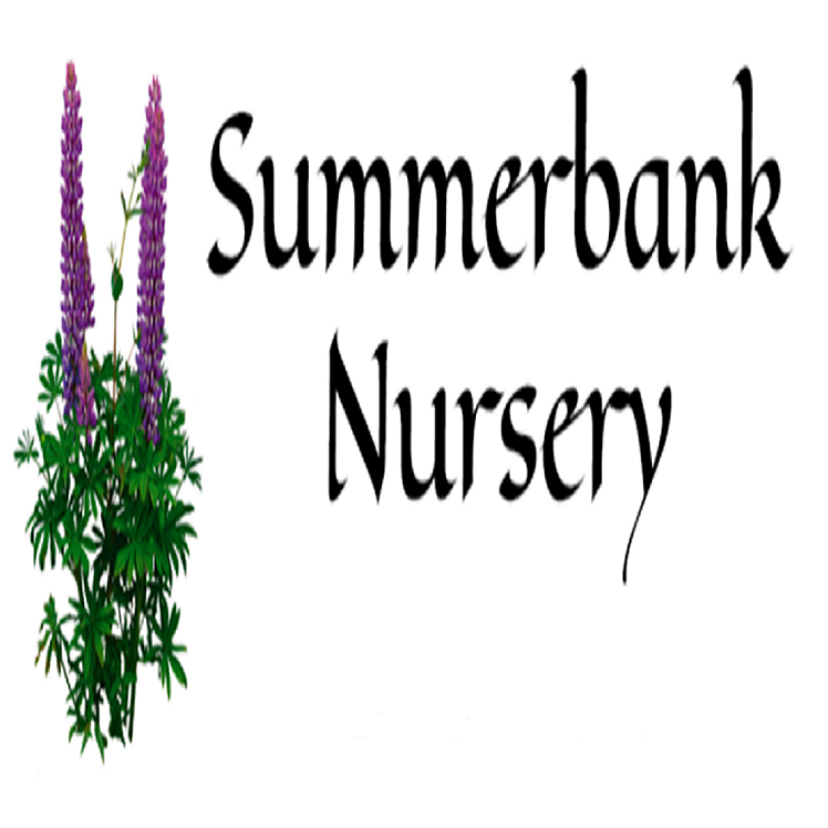 Summerbank Nursery
